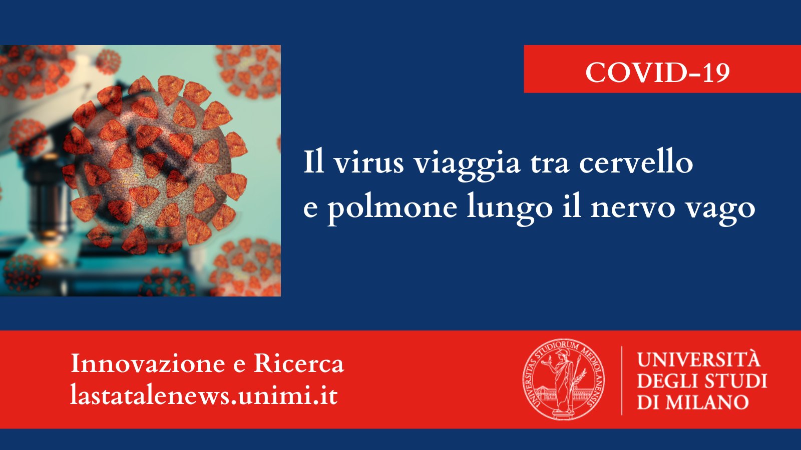 nervo vago e coronavirus