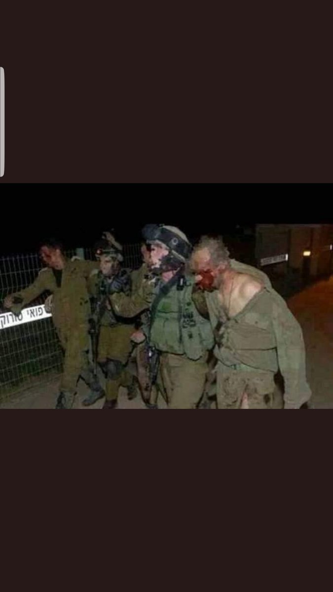 النمر المتأهب tweet media