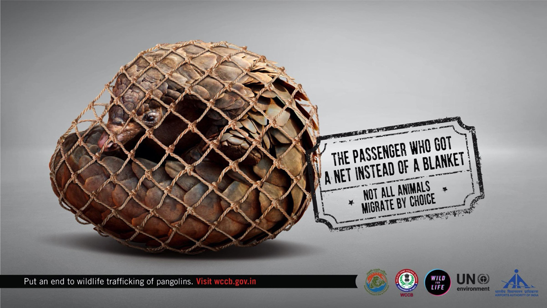 cravingdigital's tweet photo. Today on #EndangeredSpeciesDay - a throwback to a brilliant concept we did with @WCCBHQ and @Ogilvy to promote awareness of the trafficking of wild animals. https://t.co/VUMDQ1hPoQ