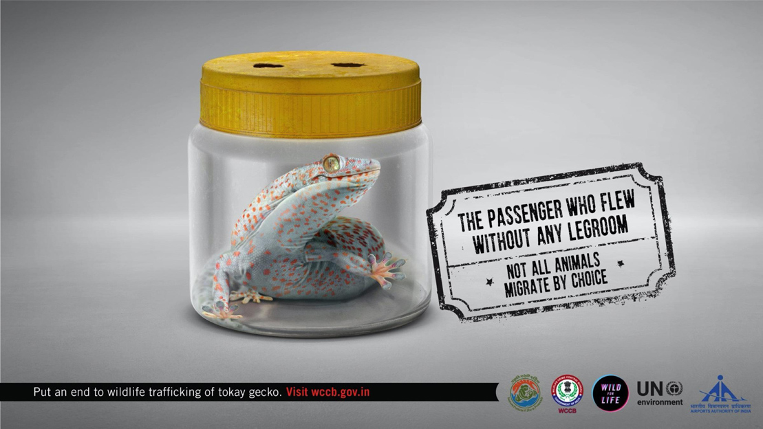cravingdigital's tweet photo. Today on #EndangeredSpeciesDay - a throwback to a brilliant concept we did with @WCCBHQ and @Ogilvy to promote awareness of the trafficking of wild animals. https://t.co/VUMDQ1hPoQ