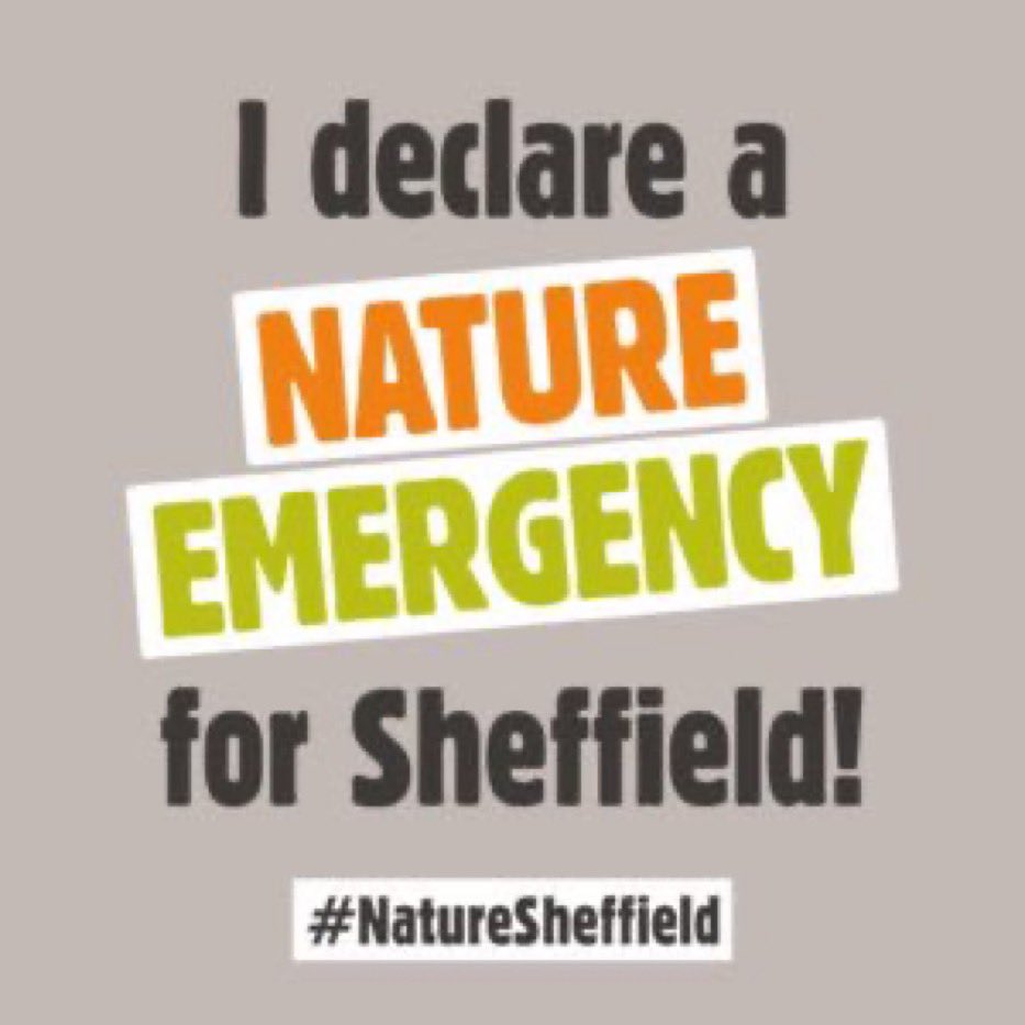 GT 🍃💚🍃 tweet media