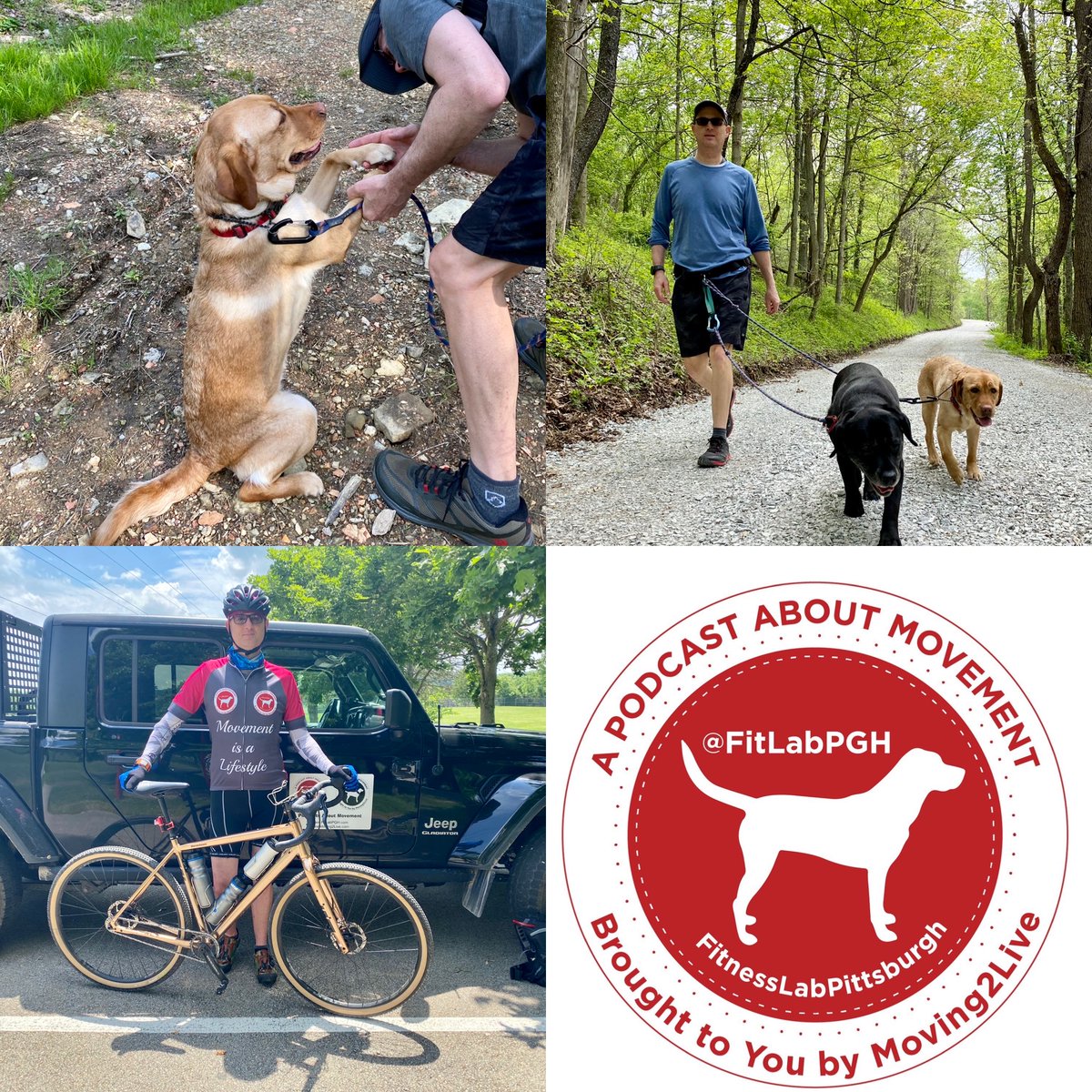 @Fitlabpgh brings you video tips & hacks for #wellness & #quality of life...this week #tickprevention ideas for your dogs, #trailsharing (again) and #hotweather #movement #ideas all promoting #movementisalifestyle
j.mp/2QIL4uI