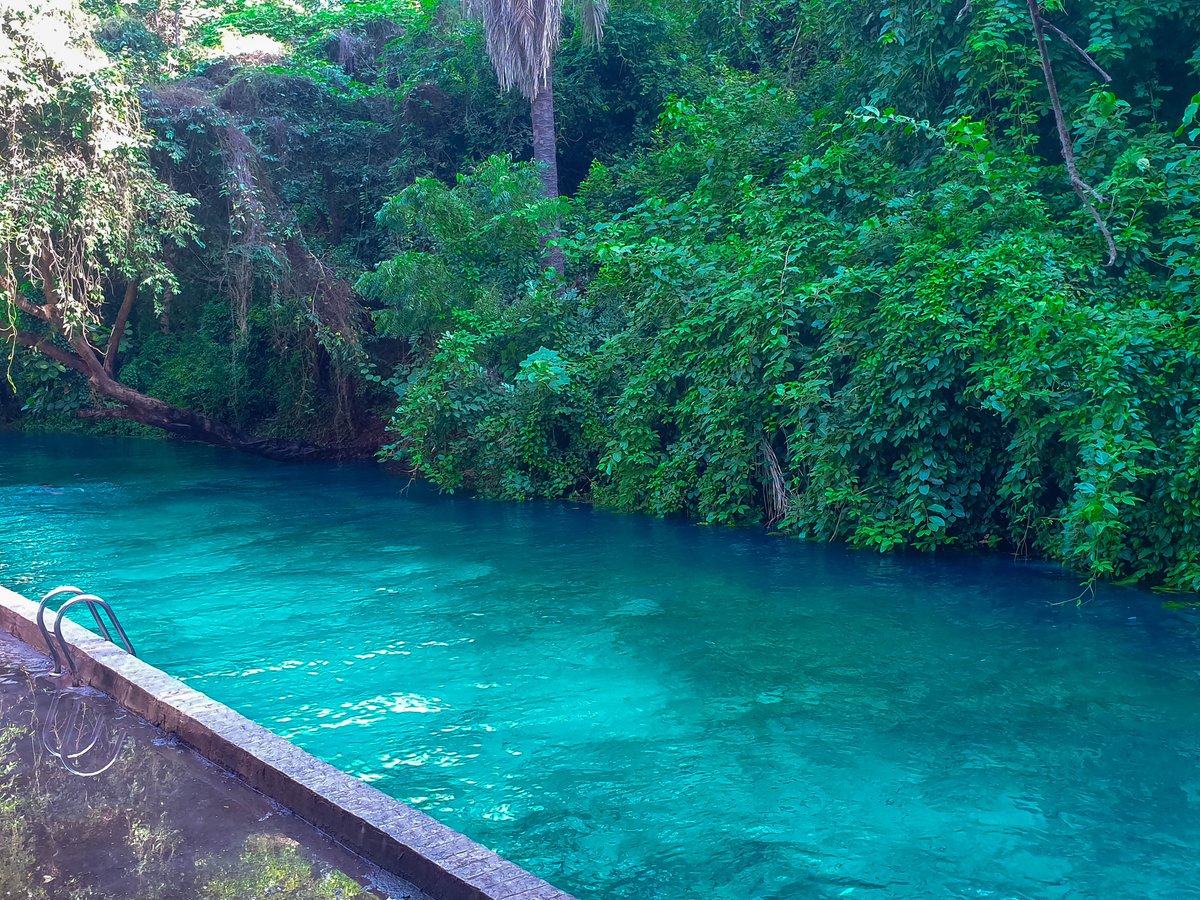 Yankari Game Reserve tweet media