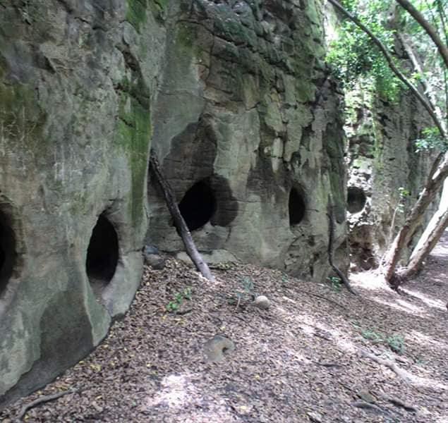 Enjoy a collection of amazing adventures and signature experiences that will keep you captivated when you visit Yankari Game Reserve

Take advantage of our affordability and plan your trip today at  yankarigamereserve.com.ng