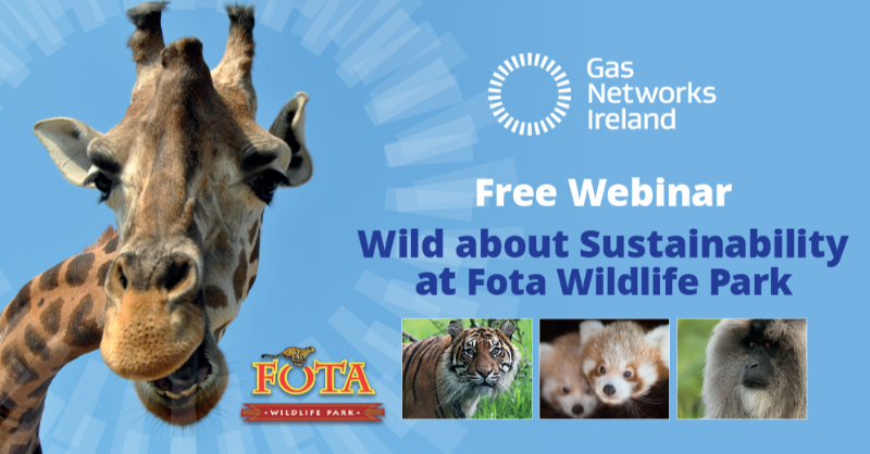 GasNetIrl's tweet photo. We've teamed up with @fotawildlife for a 'Wild about Sustainability' webinar on June 9th. We'll have quizzes and special prizes up for grabs as you learn about the animals and what Fota are doing to make the Park as sustainable as possible. Register your place below. T&amp;C’s apply*