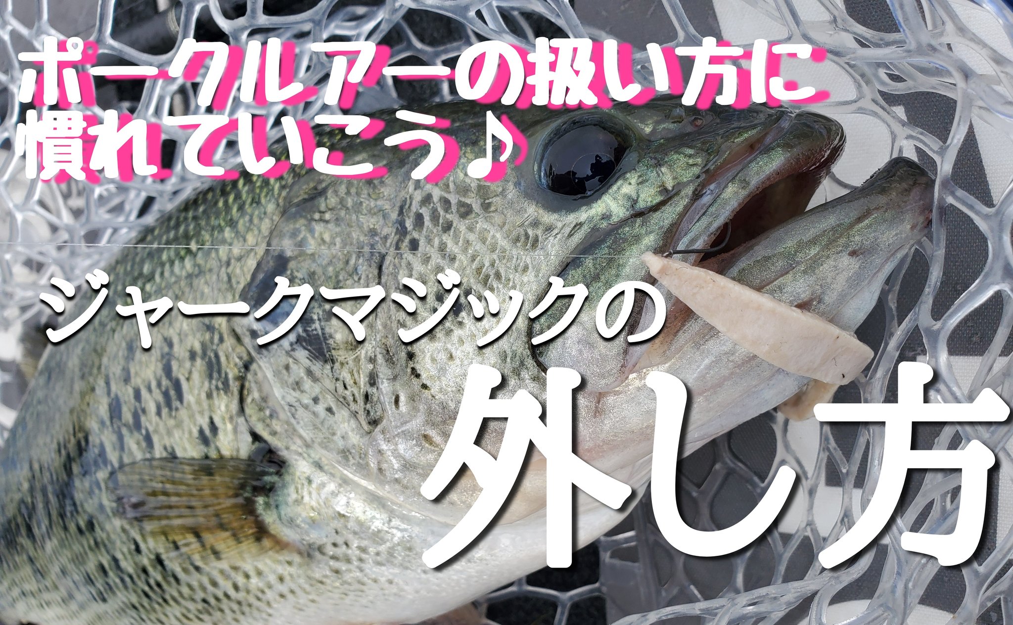 冨沢 真樹 河口湖バス釣りガイド トミーガイドサービス Youtube 河口湖バス釣りガイドトミーチャンネルアップしました 今回は皆さんに ポークの扱い方をご紹介 ジャークマジックのフックセッティングや ポークルアーのフックの外し方など簡単な動画
