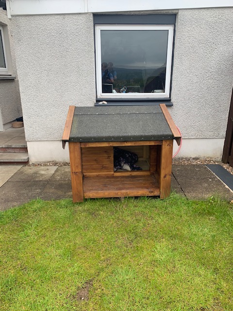 PatersonGarden's tweet photo. BESPOKE KENNEL FOR SALE (used)
Posted for a customer
The buyer must dismantle and uplift. 
L112cm, W 126 cm, H 106cm
Please note that this sale will be direct with our customer.
Call us on 01324 831033 and will give you contact details so you can contact the customer. https://t.co/uQRRrieKLf