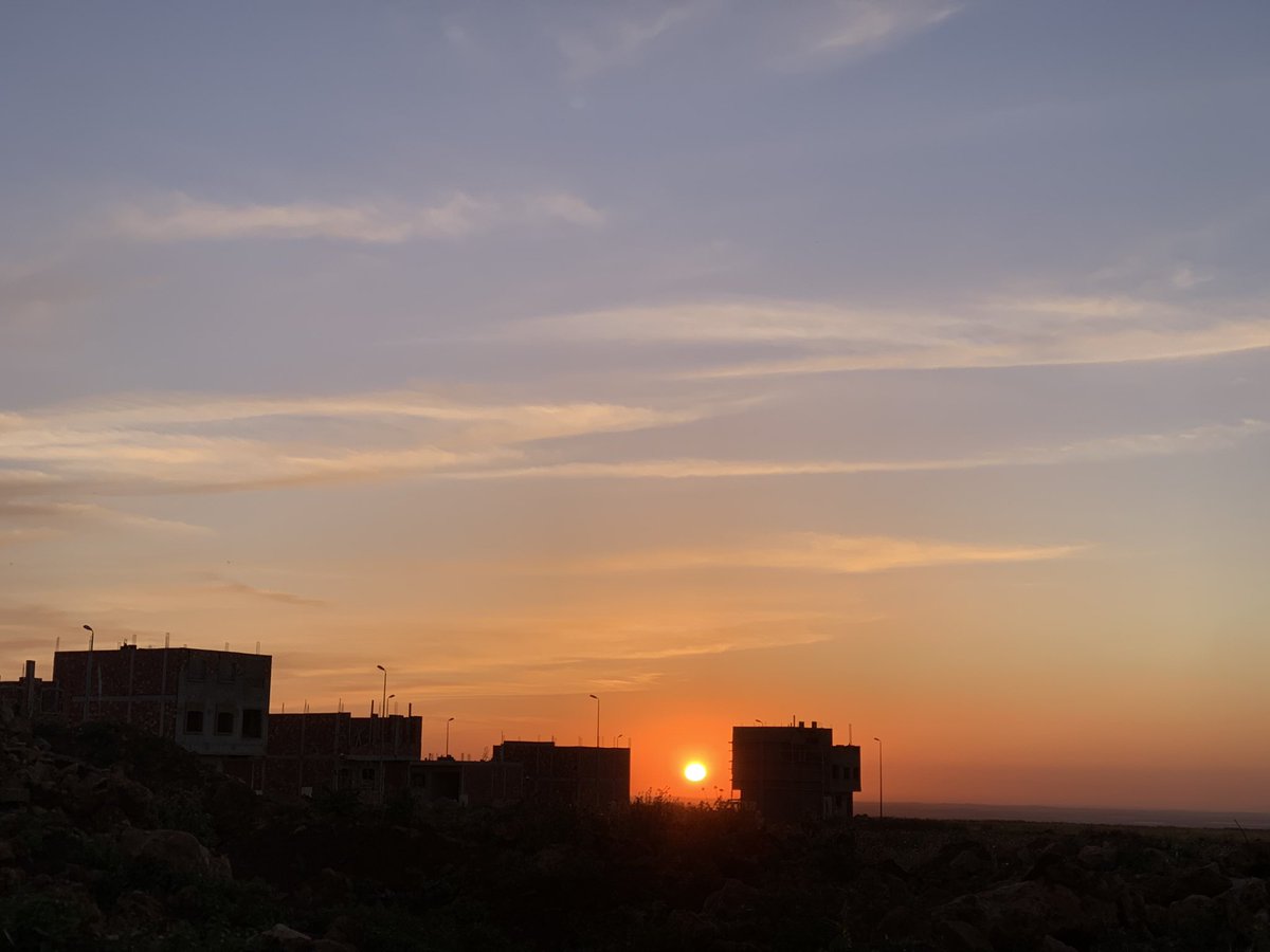 HcNeHamd's tweet image. 