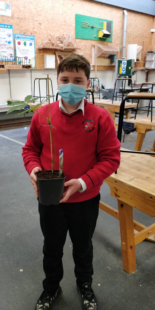 RCMTWCS's tweet image. Our 1st Year &apos;Grow a tree competition&apos;, every Wood Technology student get a seed at the start of the year. Congratulations to our winner👏 @technology_4 @JCt4ed @technoteachers