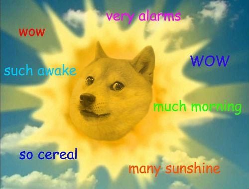 PsychedelicDoge's tweet photo. Have a #DogeMorning π€π½ https://t.co/gTenrFUoPG