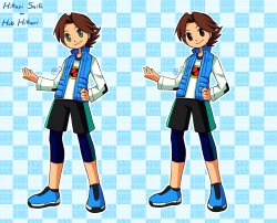 Lan hikari brother hub hikari
