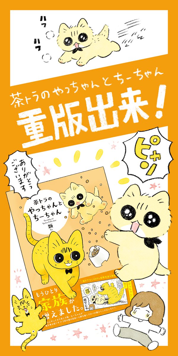 【祝💮重版出来】
みなさんのおかげで、2巻「茶トラのやっちゃんとちーちゃん」の重版が決定しました!沢山の応援ありがとうございます🙌

またプレゼント企画を考え中ですので、楽しみにお待ち下さい🐱☺️🐱 