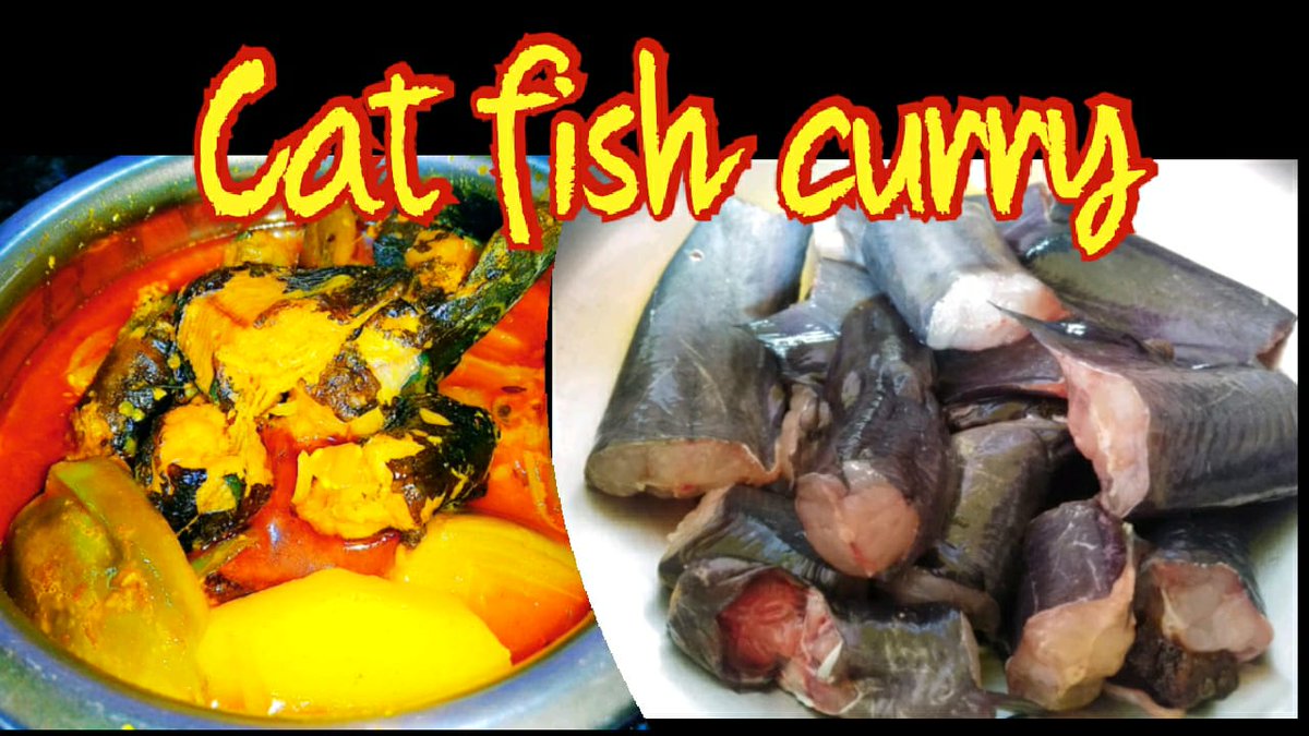 Cat Fish Curry youtube.com/watch?v=pisTrb… #catfish #curry #Trending #CatsOfTwitter #Caturday #catfishdom #Recipe #home #homeMade #Cooking