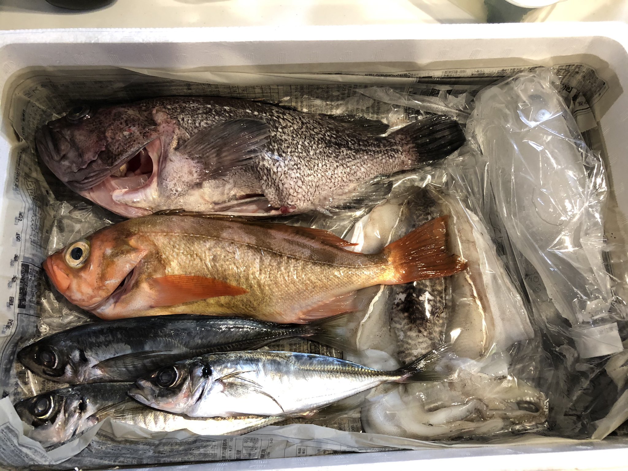 和田 豊 能代の旬さんからお魚定期便が来ました 今回も素敵なラインナップです マゾイ メバル スミイカ アジ T Co Owwxlaocsn Twitter