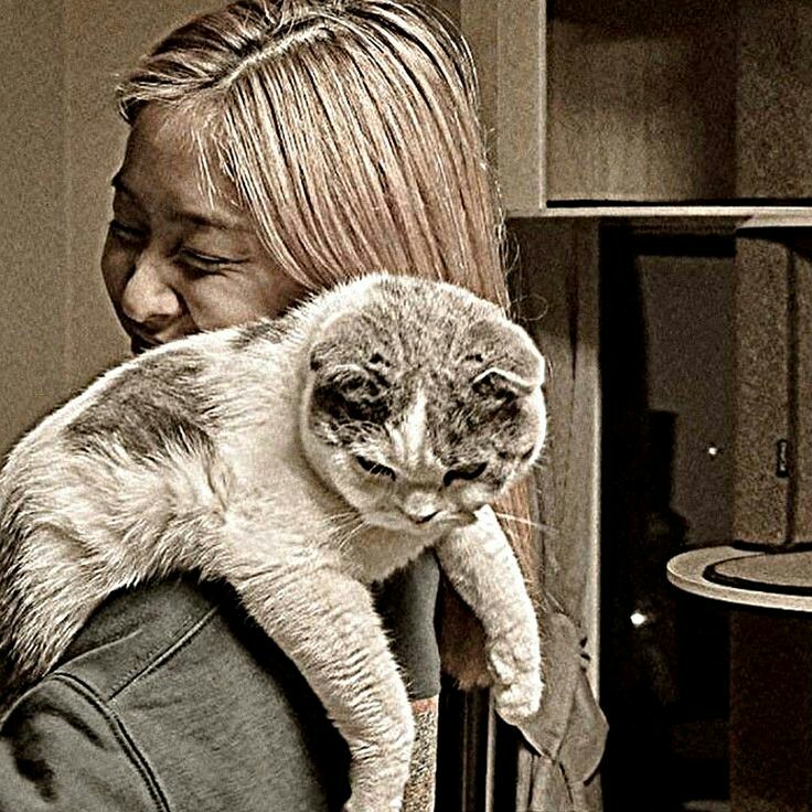 — J e s h a tweet media