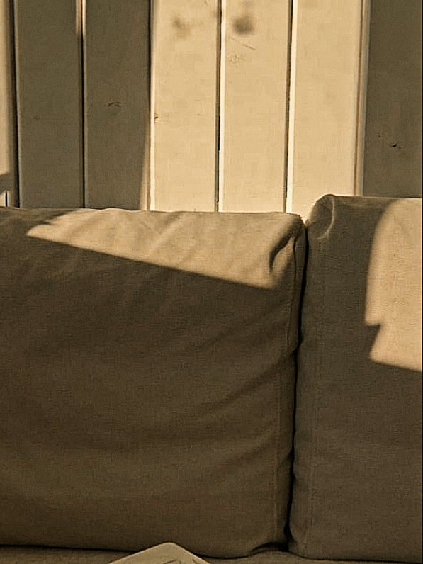 fae, JFB? tweet media