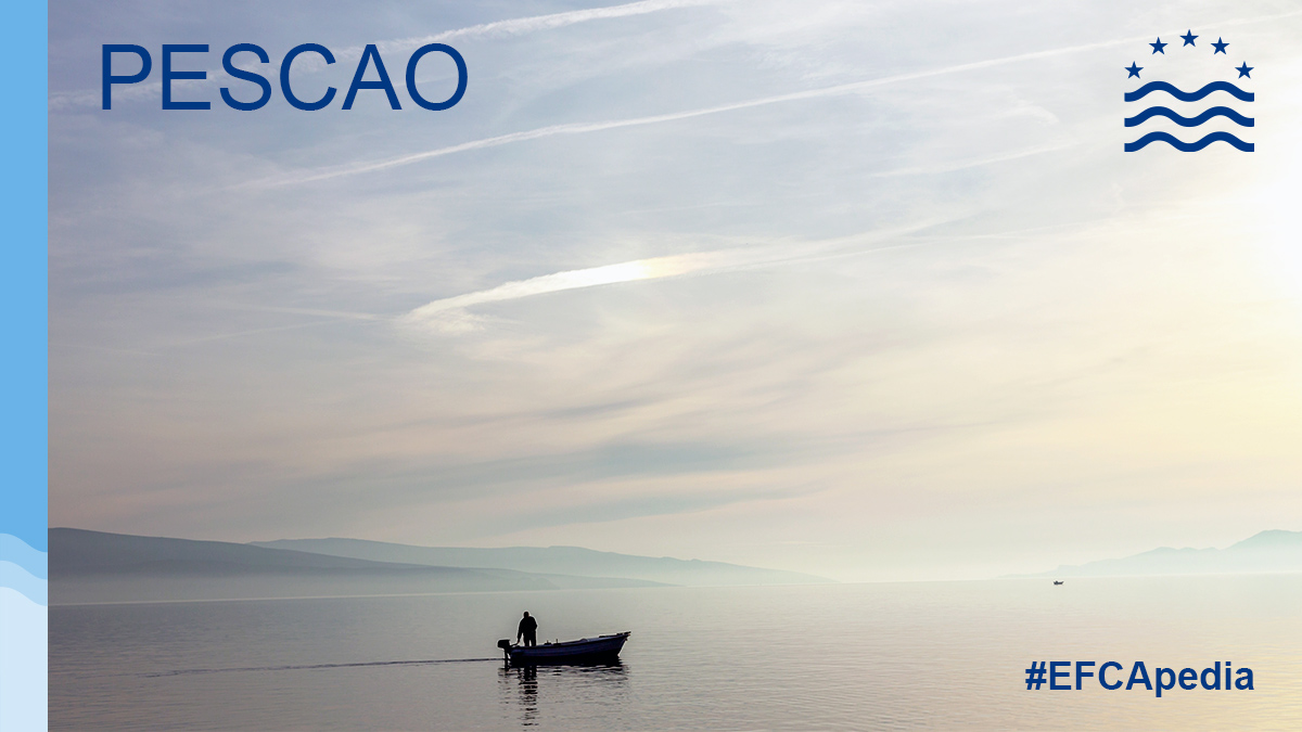 EFCA_EU's tweet photo. DidYouKnow? The improved general fisheries governance in Western Africa project, known as PESCAO, aims to enhance the contribution of fisheries resources to sustainable development, food security &amp; poverty alleviation in West Africa. #EFCA provides technical support. #EFCApedia🐟 https://t.co/6ndeEyugY0