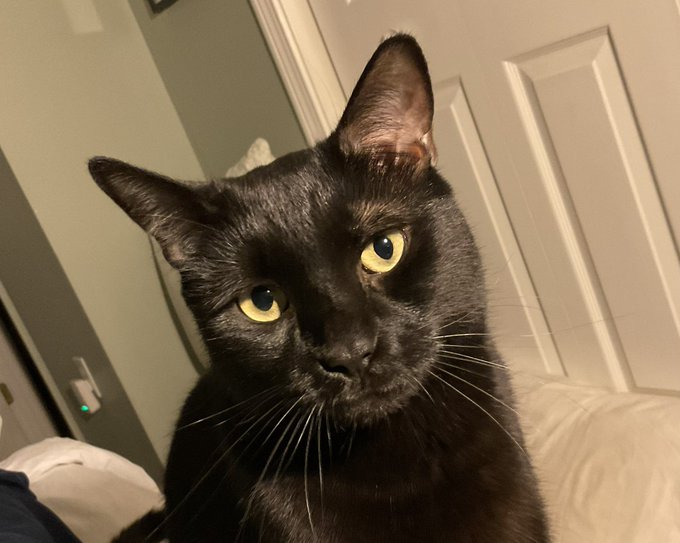 My beautiful boy Henry. ??? https://t.co/0ofSlP2cwe