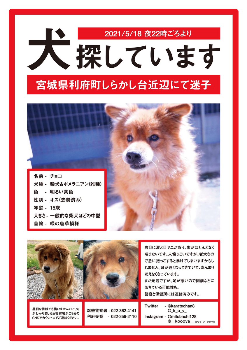 noookoooyaaa's tweet photo. 情報まとめて画像にしました。引き続きみなさまご協力お願いします。 https://t.co/2O84QDbpgo