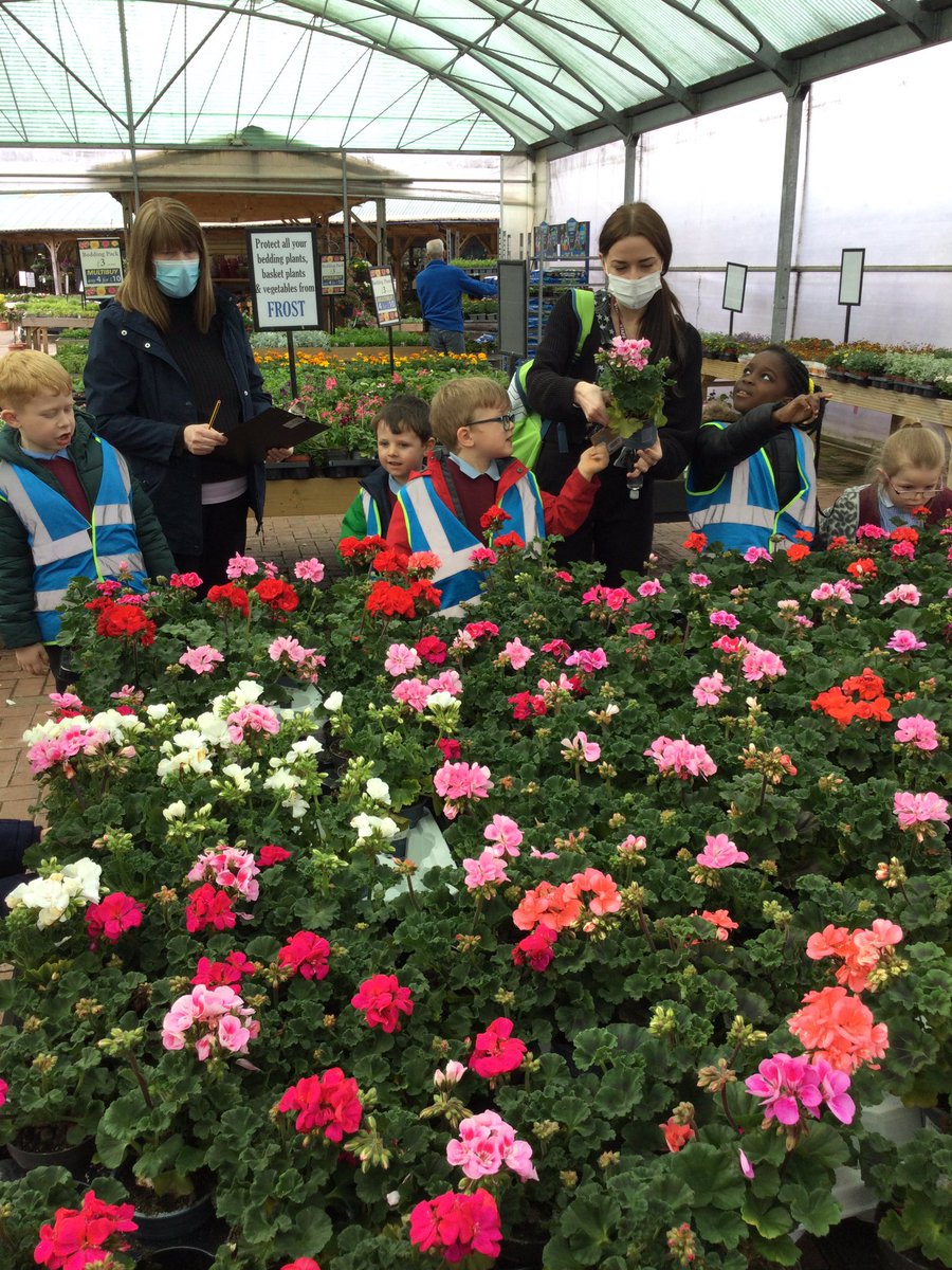 Year1HolyFamily's tweet photo. More garden centre photos 😊🌼🌸🌻🌺🌹🌿🌲🌳🌱🎍 #daisynook https://t.co/j2qI2pKEKd