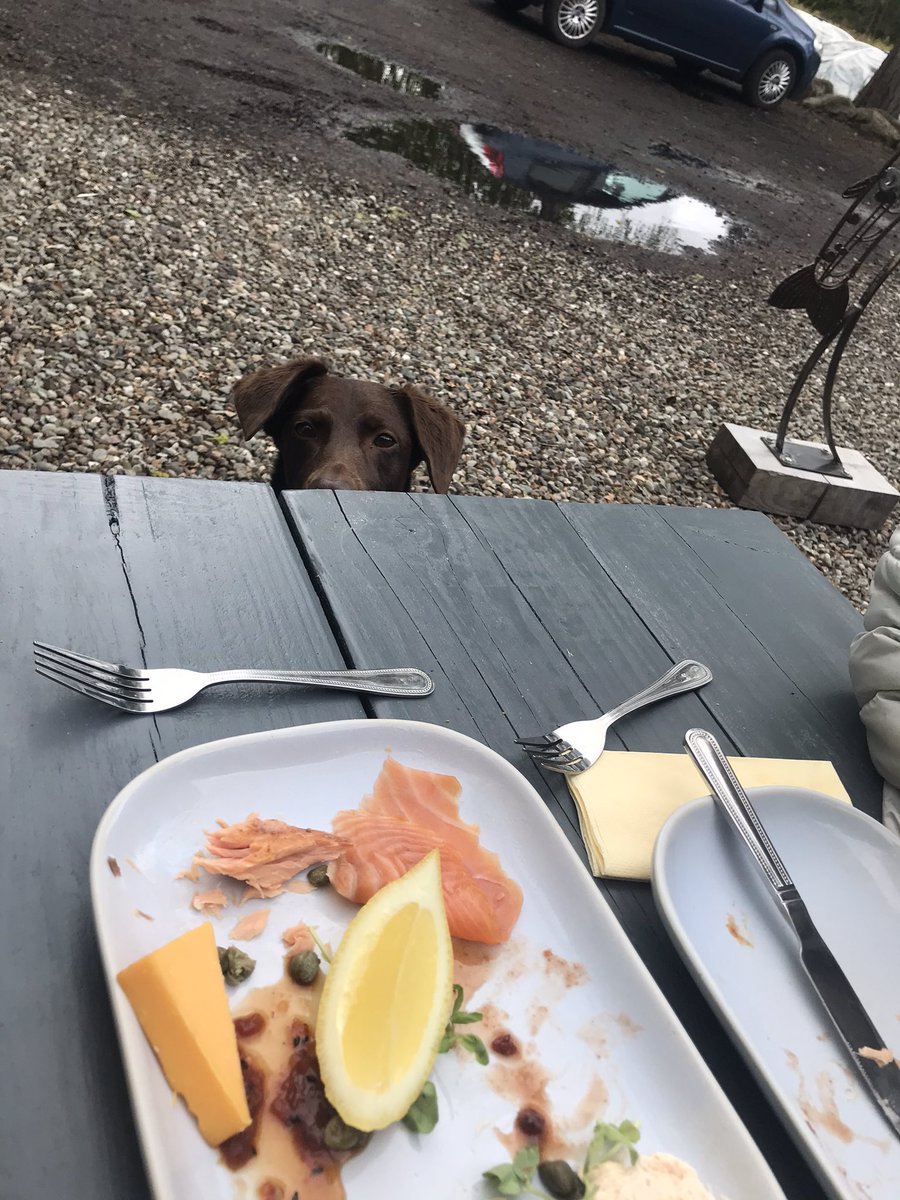 <a href="/NeilMTracey/">Neil Tracey</a> <a href="/DochartSalmon/">Falls of Dochart Smokehouse</a> <a href="/VisitScotland/">VisitScotland</a> And I got to try some too 😍