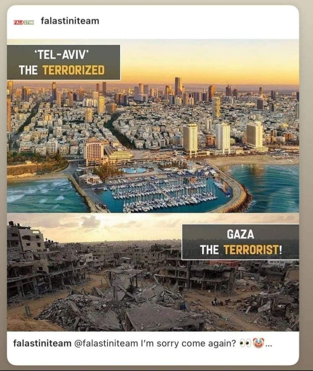 TanzinaSheikh's tweet photo. Can't you see the actual truth? Open your eyes before you sleep forever. 
#IsraelStopPlayingVictim 
#IsraelTerrorist https://t.co/xzF8Gs0chn