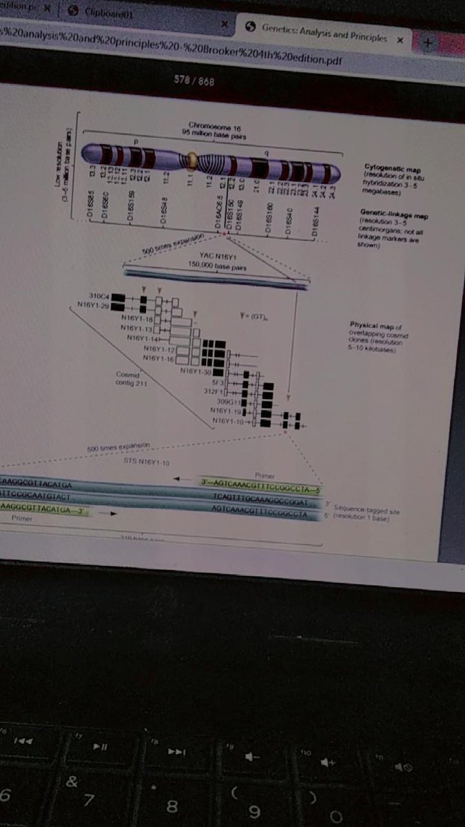 michael²² tweet media