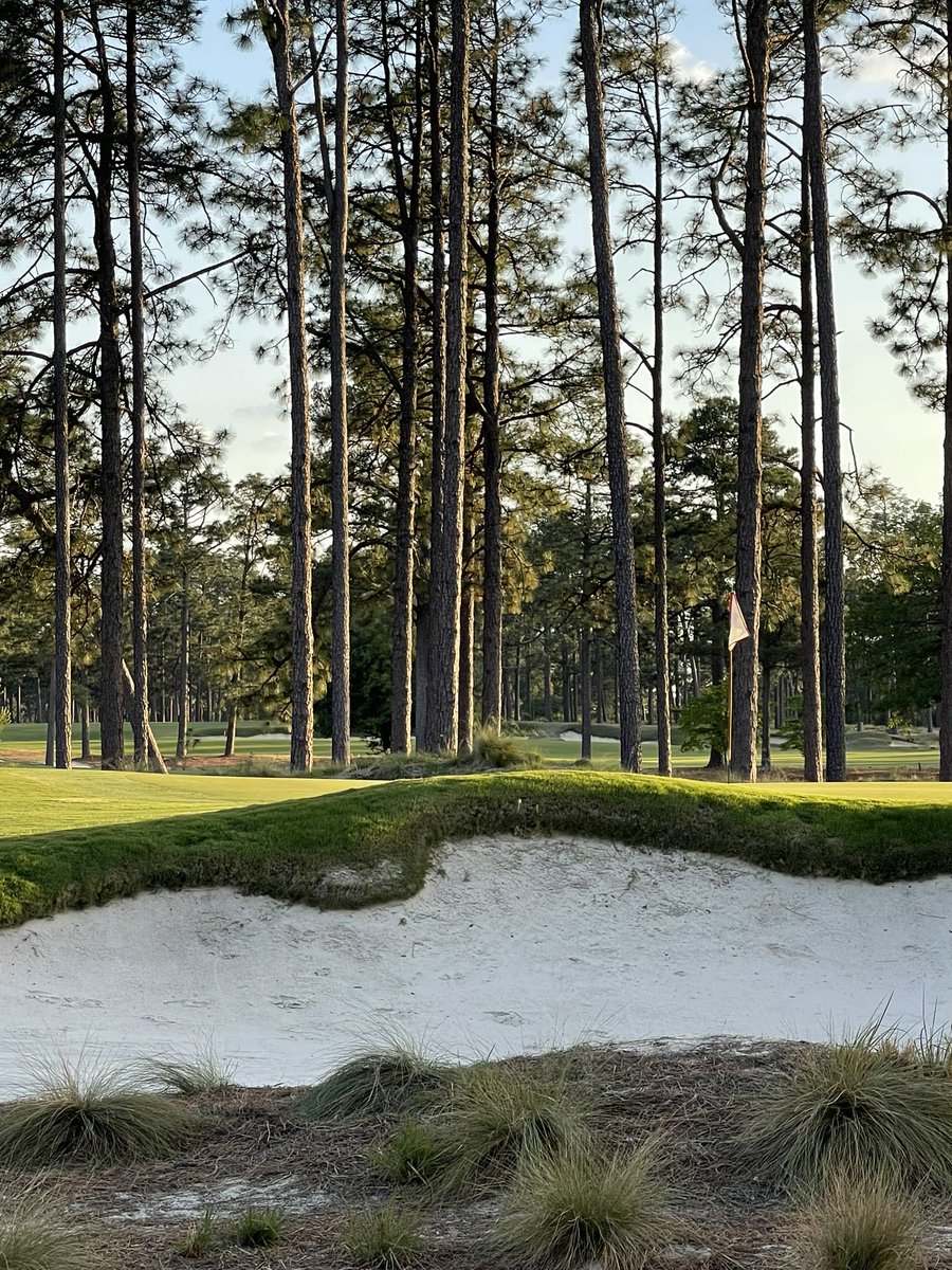 golf_always's tweet photo. Another beautiful day in Pinehurst.  All facilities are completely open and operating at 100% here in Pinehurst. https://t.co/FRlN46FukB