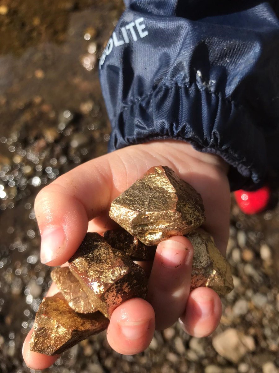 CherryTreeEYC's tweet image. Adventures to the river! We were panning for Gold.....look what we found!!