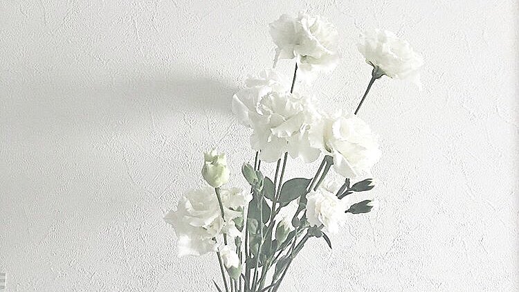x_x___babu's tweet photo. きょうはいつもよりすこしえっち₍ ᐢ. ̫ .ᐢ ₎❔ https://t.co/pxKIUYrSZS