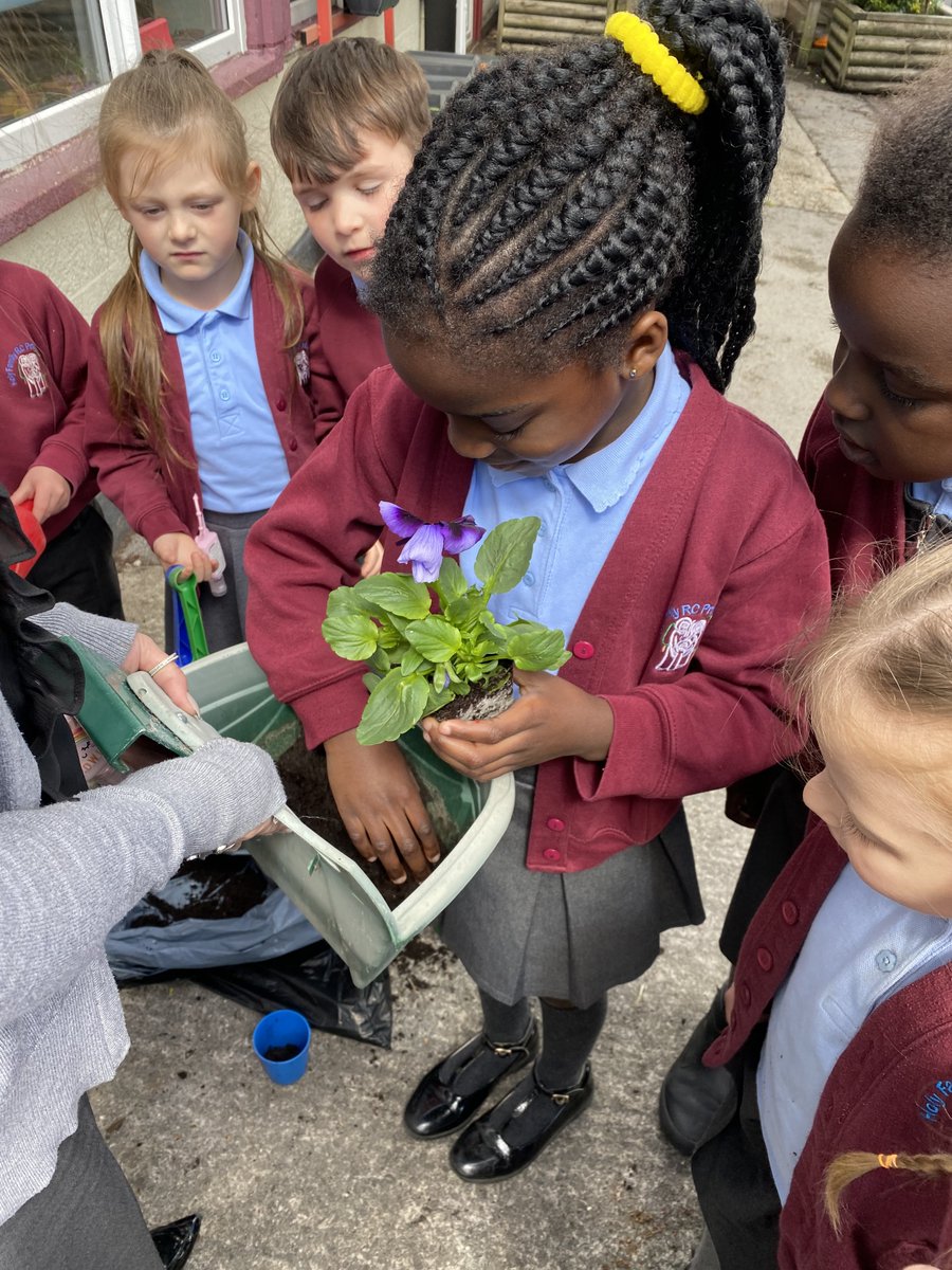 Year1HolyFamily's tweet photo. We planted our beautiful flowers that we bought from Daisy Nook Garden Centre 🪴 https://t.co/O9pUjuyhwM