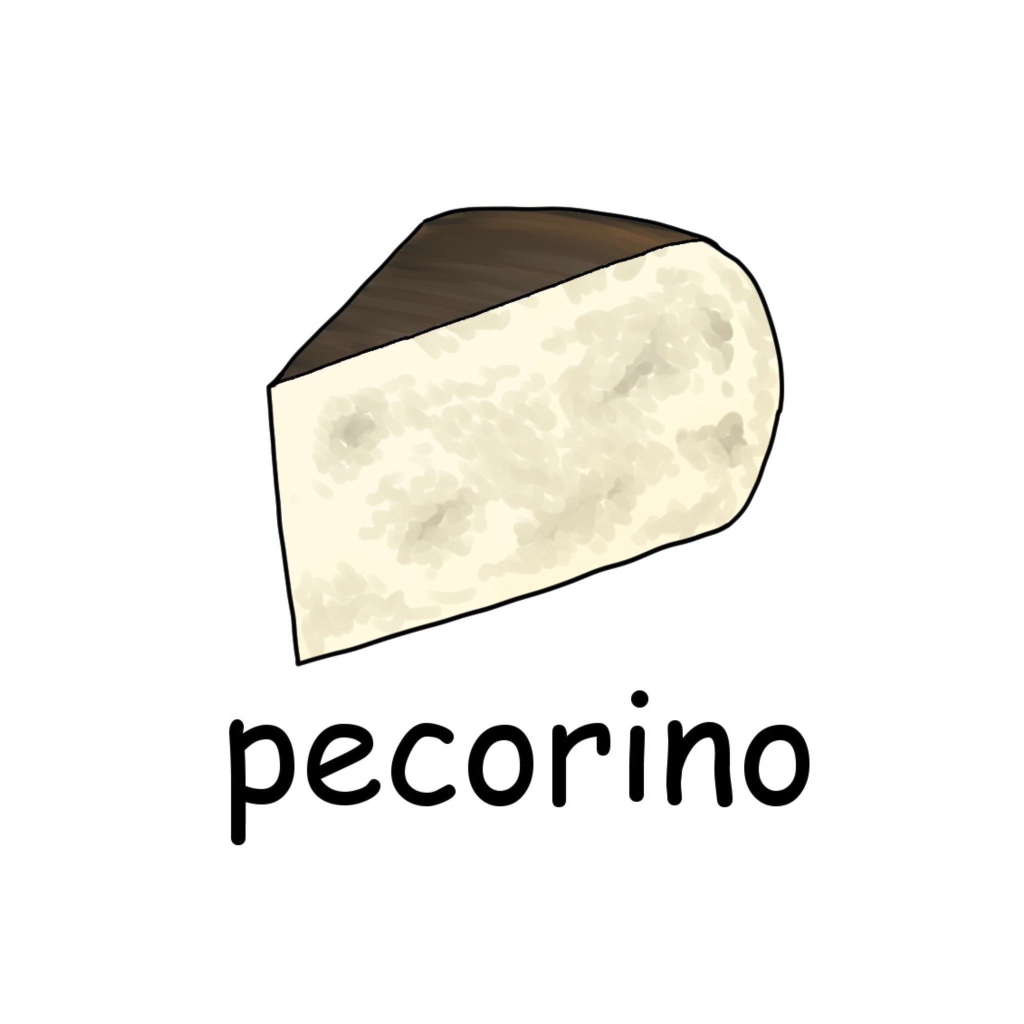 毎日イラストイタリア語 ペコリーノ Pecorino 羊 Pecora の乳から作られたチーズなので Pecorino 羊の と言います パルミジャーノよりもにおいに少し癖があり カチョエペペやカルボナーラなどの料理に欠かせないチーズです イラスト イタリア語