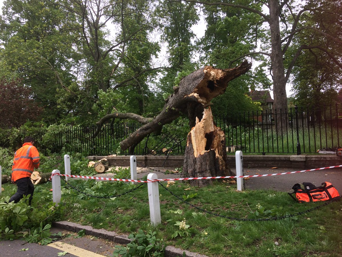 DulwichSociety's tweet photo. The beautiful horse chestnut tree in Dulwich Village fell at 8.15 this morning, falling onto part of the burial ground railings. https://t.co/iCFAANZ5y9