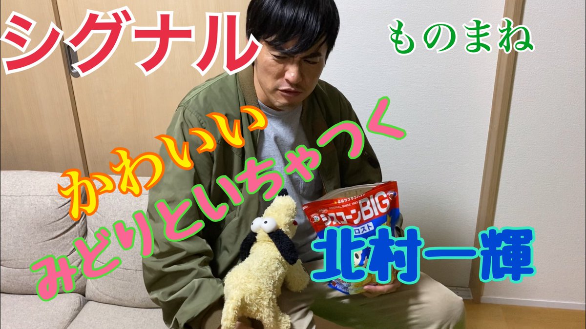 シグナル みどり Twitter Search シグナル みどり Twitter Search