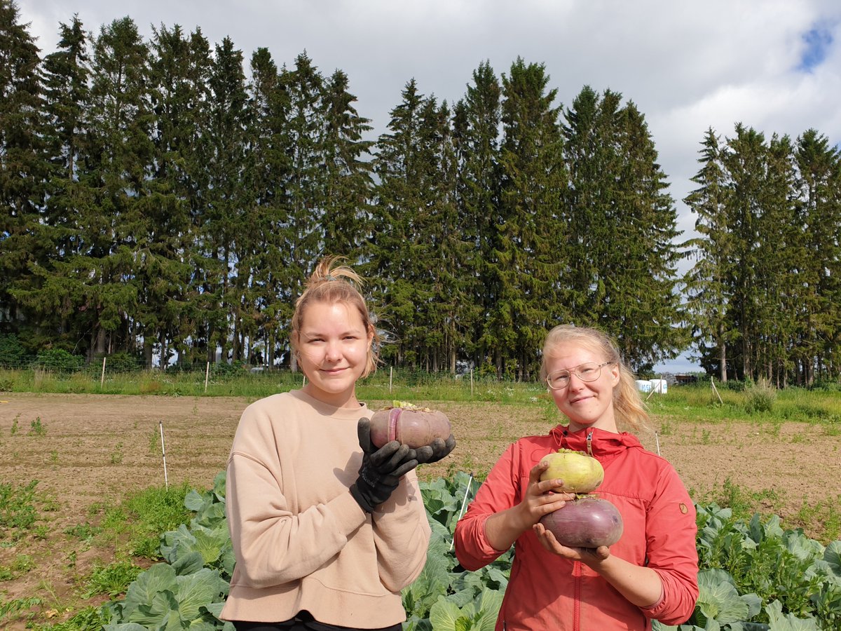 Helena Ruhanen tweet media