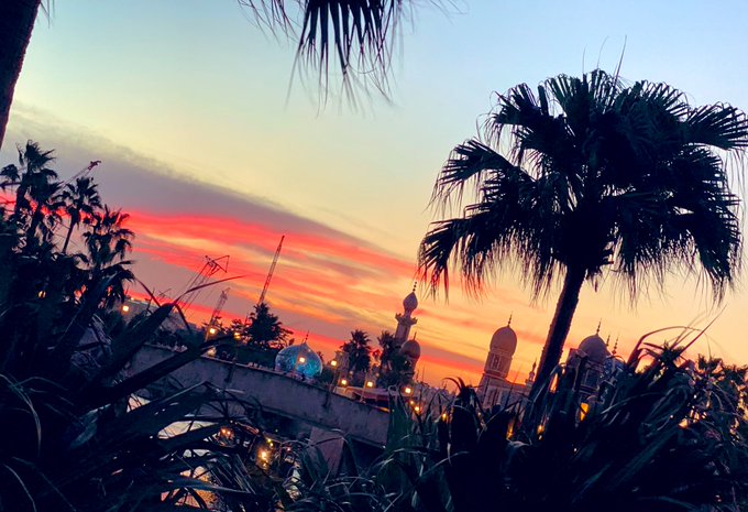 アラビアンコーストのtwitterイラスト検索結果