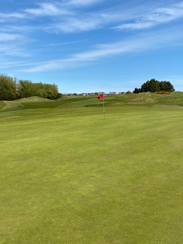 SeapointGolf's tweet photo. Update from our superb greenskeeping team!
The over-seeding of all greens and approaches earlier in the spring has been very successful with the new fescue seeds now visible in all areas✔️
#courseupdates #alwaysimproving #greenkeepers #Seapoint https://t.co/svY169AblX