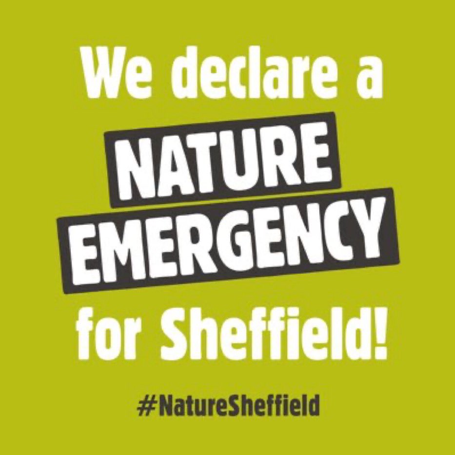 Clean Air Sheffield tweet media