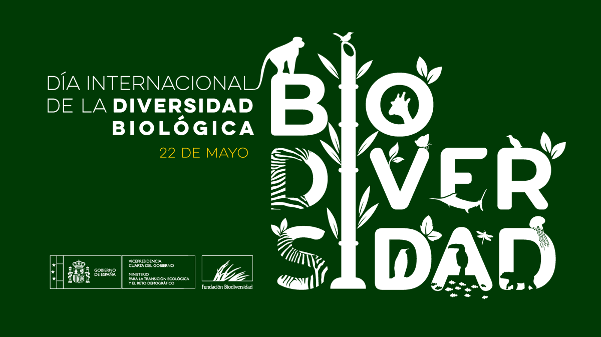 FBiodiversidad's tweet photo. Proteger la #biodiversidad es proteger la salud del planeta y nuestra salud 💚

Es clave poner a la naturaleza en el centro de todas nuestras decisiones y apostar por ella como solución a los retos a los que nos enfrentamos. 

“Somos parte de la solución”💪

#DíadelaBiodiversidad https://t.co/kdlVUwMOO4