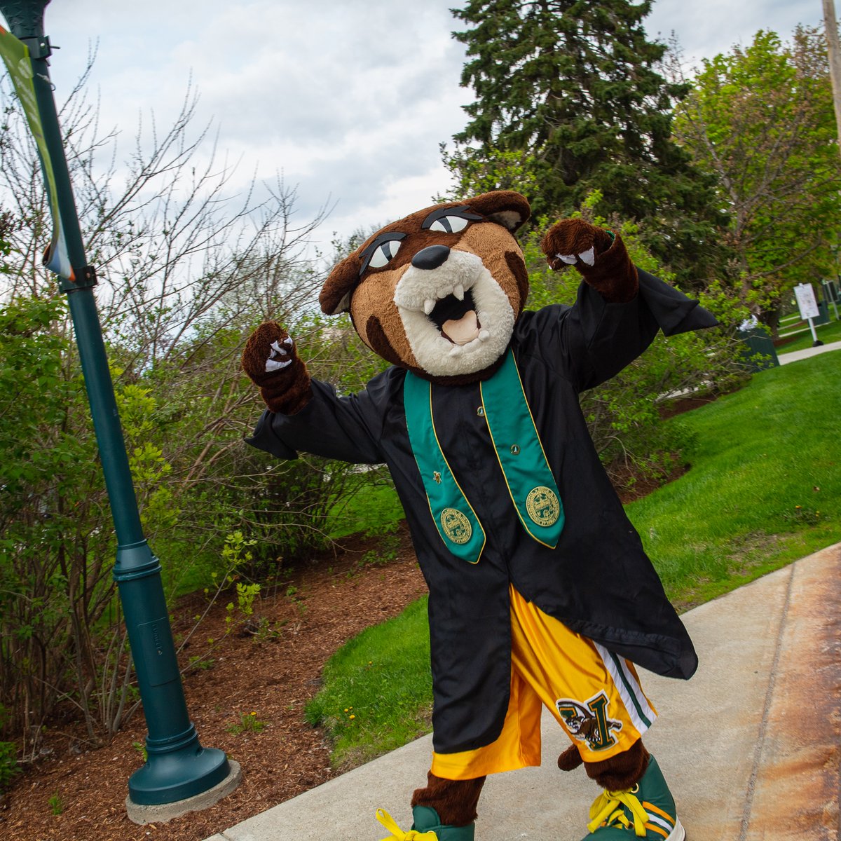 UVMathletics's tweet photo. Happy #VCatFriday & Graduation!
Congratulations, Class of 2021, and welcome to the UVM Alumni Association! Check out all of the career resources and benefits available to young UVM alumni at https://t.co/6wFf55mEsa. Go Cats Go!
#VCatFriday is presented by @UVM_Alumni https://t.co/Np0lnQUxXP