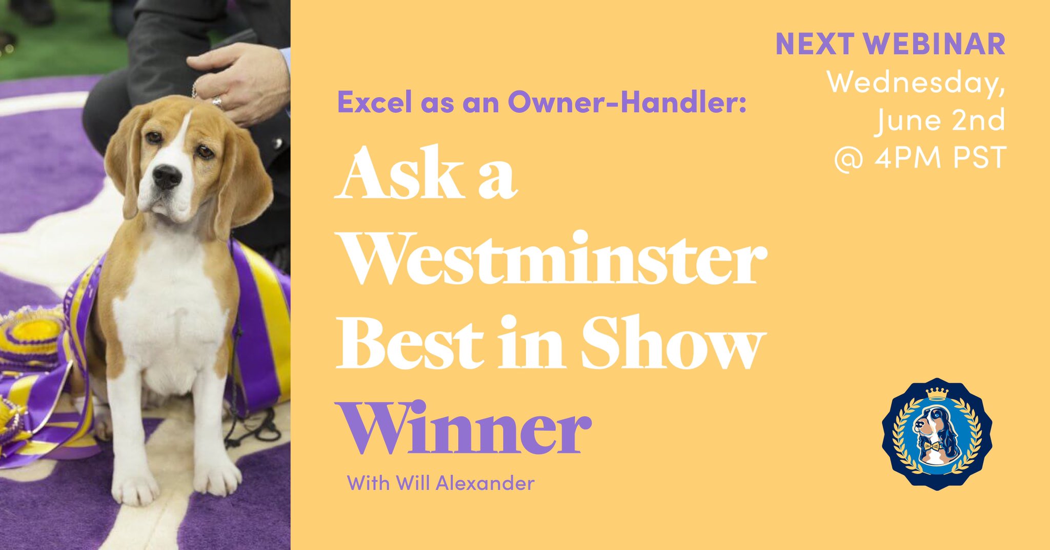 Leading Edge Dog Show Academy (leadingedgedogs) / Twitter