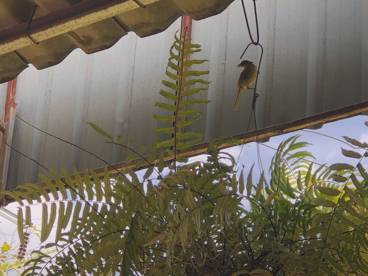 จากคิด กลายเป็นไม่คิด 
และไม่รู้จะคิดอะไรแล้ว 
เริ่มมองนก มองไม้แล้วว 😂