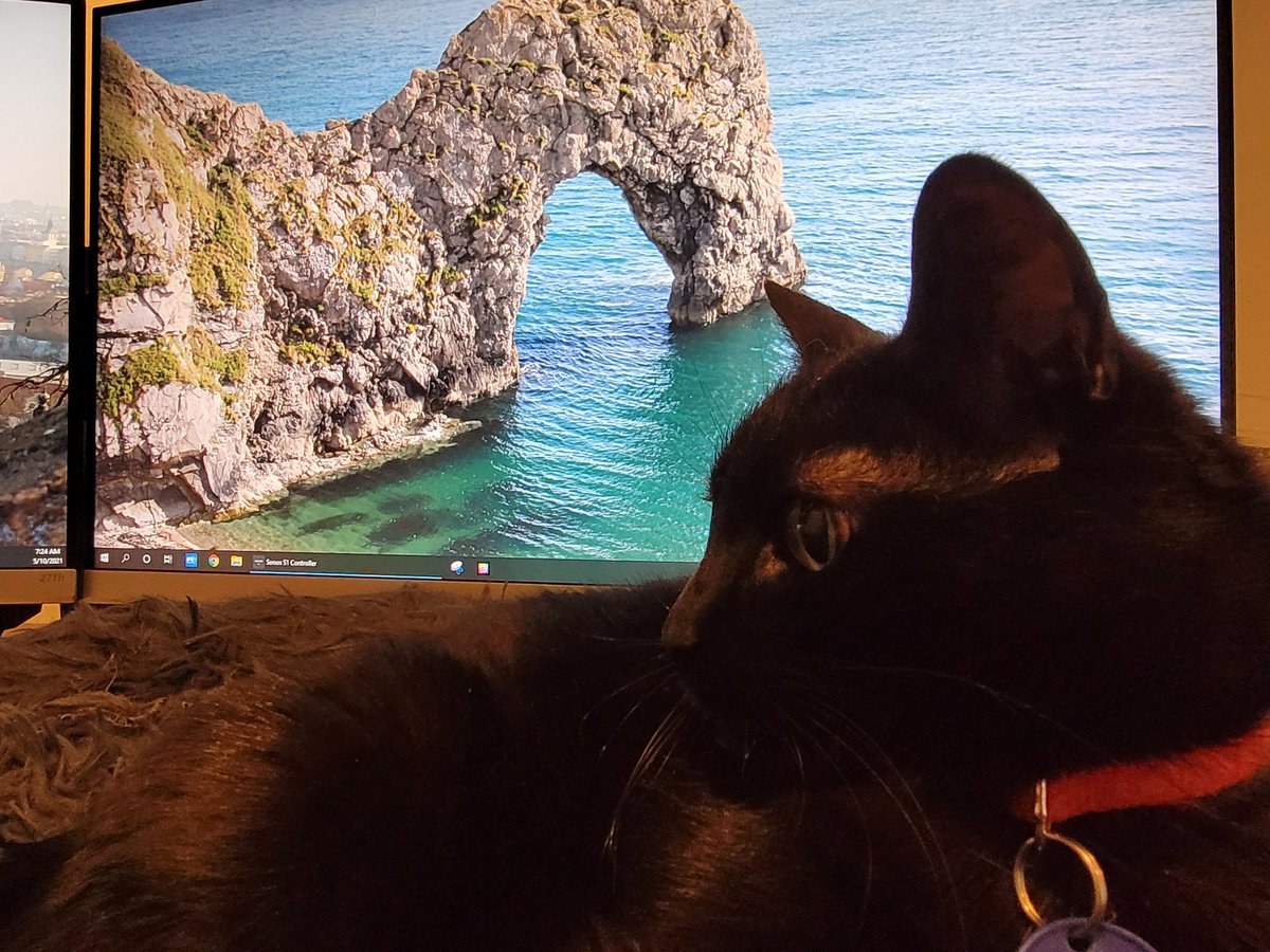 PussycatNaughty's tweet photo. Pinot was up extra early to take my plane. Where is she this time?
#WhereIsPinot #CatsOfTwitter
#TheAviators #CatLife #Cats #SuperSeniorCatsClub https://t.co/cuBlP745DS