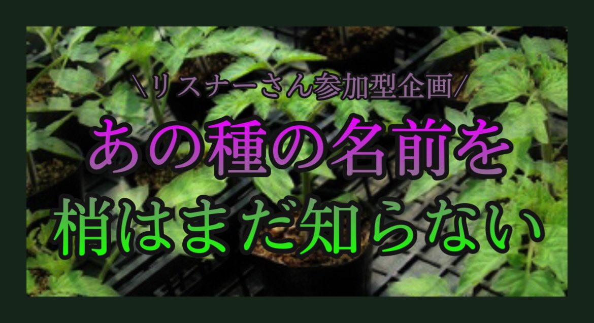 梢 長期間企画 あの種の名前を梢はまだ知らない お楽しみに 梢の種日記 梢 長期間企画 あの種の名前を梢はまだ知らない お楽しみに 梢の種日記