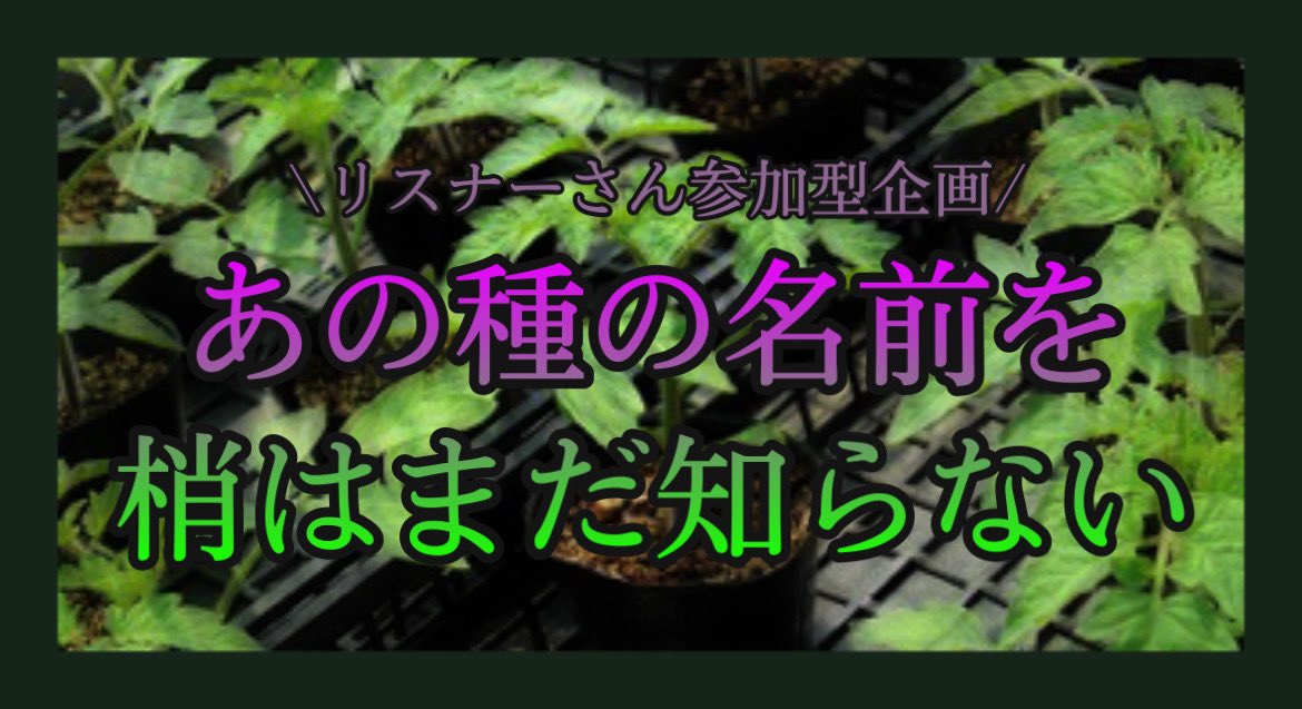 梢 長期間企画 あの種の名前を梢はまだ知らない お楽しみに 梢の種日記