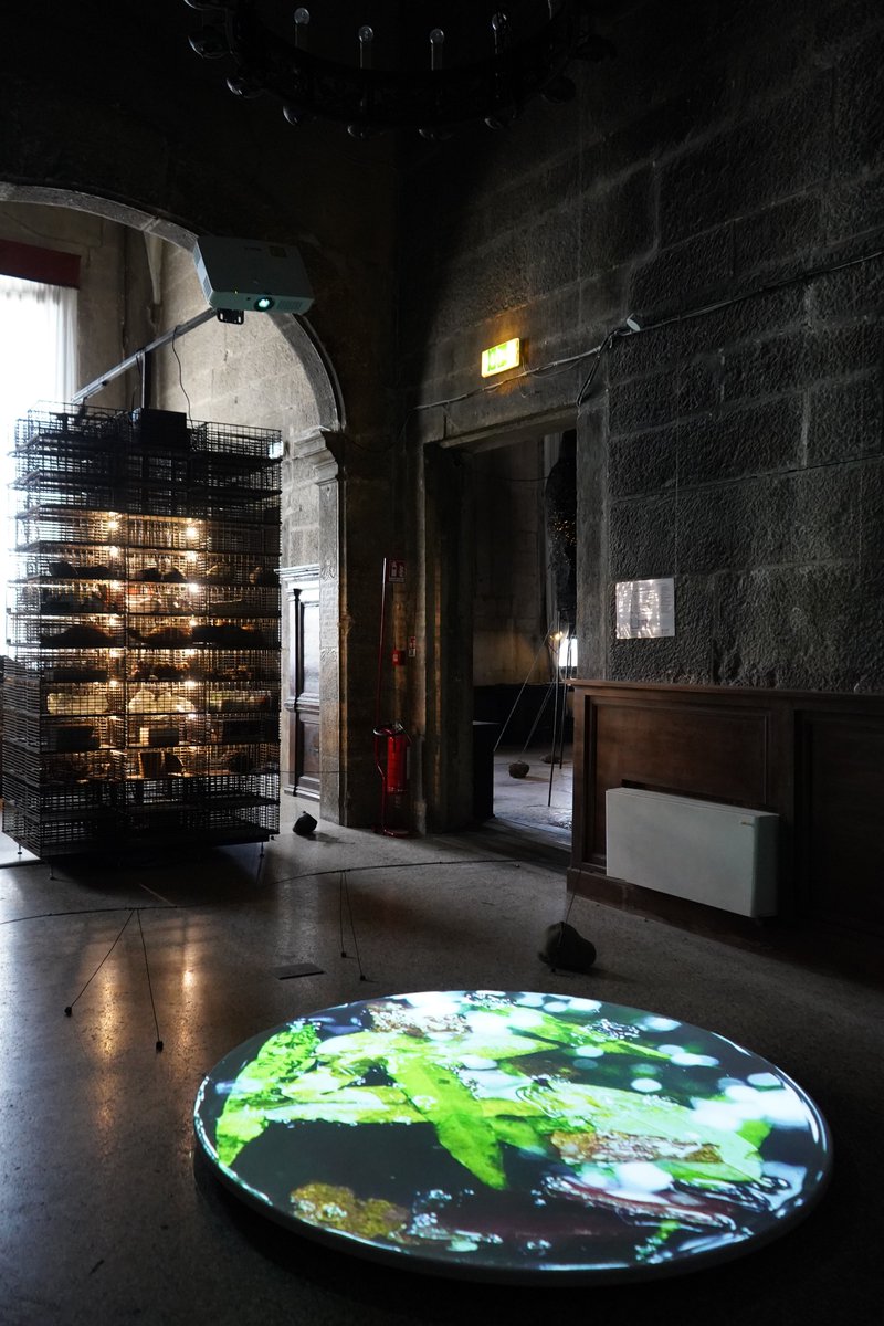 Opening today, Taiwan exhibition #PrimitiveMigration from/to Taiwan' at #BiennaleArchitettura2021 draws from existing case studies and collaborations that elicit discussions on constructing environmentally friendly buildings to present a model for future experimental architecture