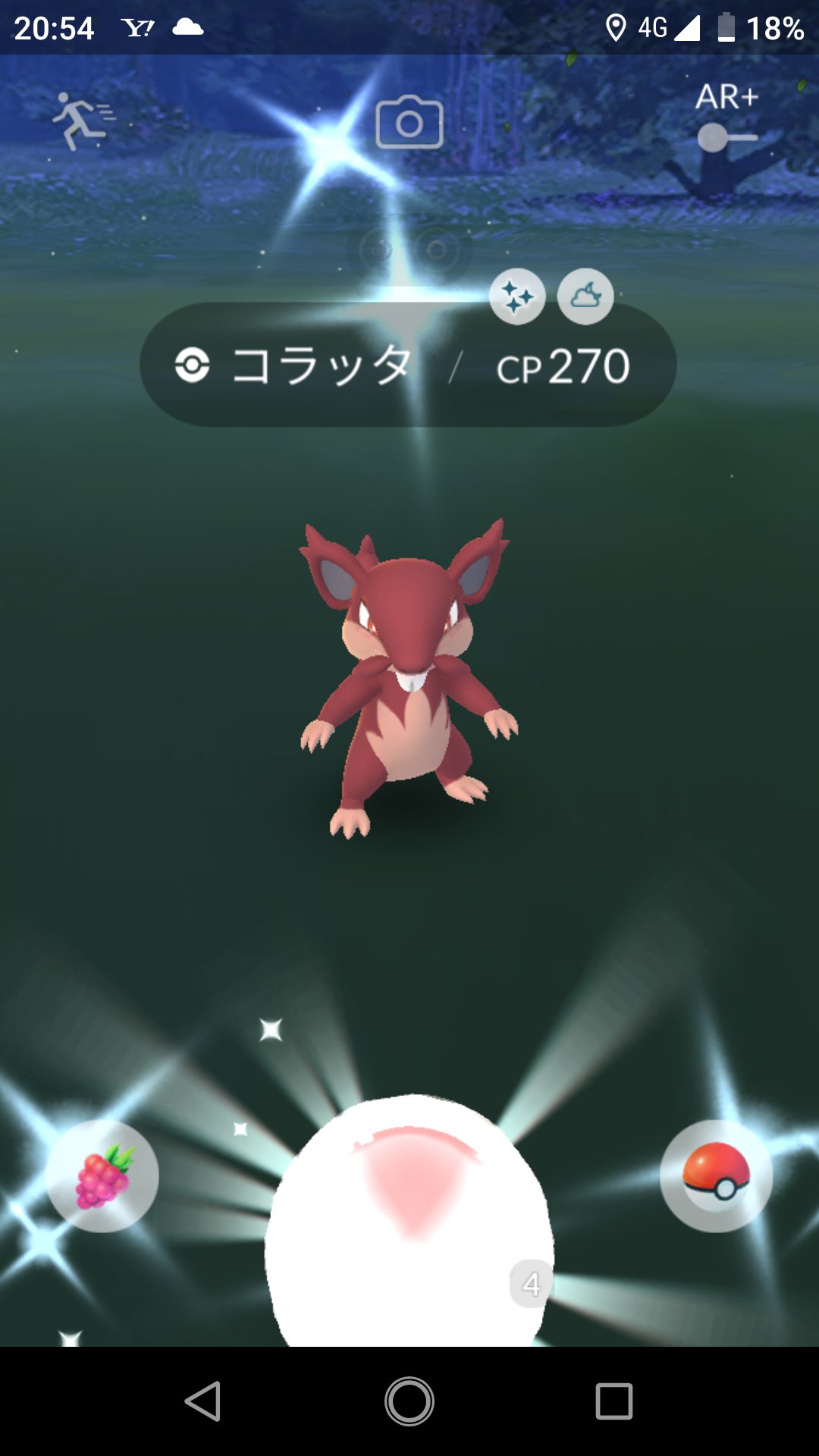 アローラコラッタ色違い Twitter Search Twitter