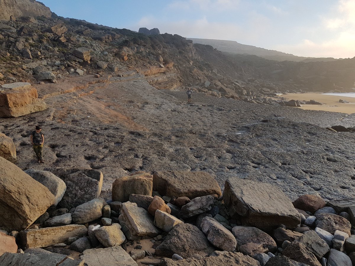piercycles's tweet photo. @CaspOutreach Hope to get back there! Looking the opposite way, Simon Schneider and Berta Lopez-Mir were walking with dinosaurs (prints) .... https://t.co/KgacWp4svx