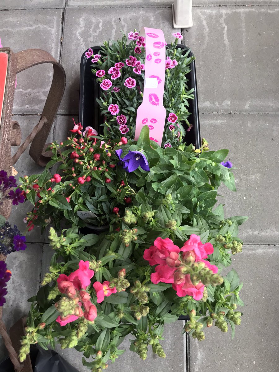 Zo lief❤️ Weer een doos vol plantjes gekregen van m’n zusje❤️ Kan niets planten vandaag maar hoop wel morgen🍀Mijn balkon wordt mijn paradijsje ❤️#familie #houzoveelvanze #genietenvanmijnlaatstetijd ❤️