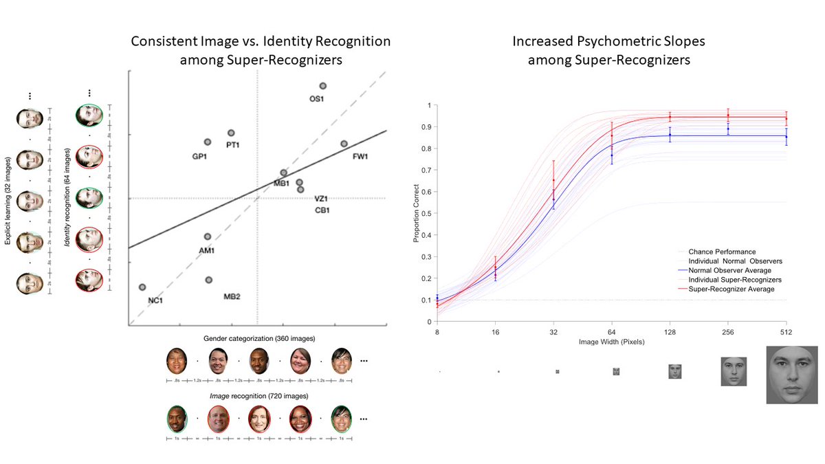 MeikeRamon's tweet image. #SuperRecognizer poster #1 at #VSS2021 on Sat 14h CEST!

*Consistency - A Neglected Marker of Superior Face Processing* (Jeff Nador &amp;amp; @MeikeRamon)